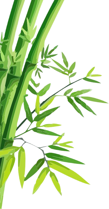 Decorative bamboo