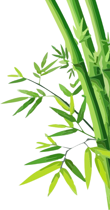 Decorative bamboo